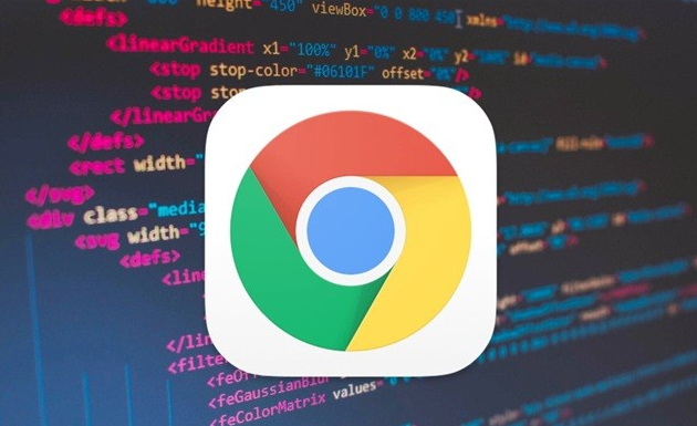 Google浏览器下载安装后隐私设置优化