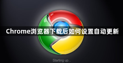 Chrome浏览器下载后如何设置自动更新1