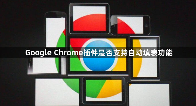 Google Chrome插件是否支持自动填表功能1