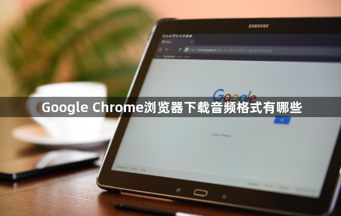 Google Chrome浏览器下载音频格式有哪些1