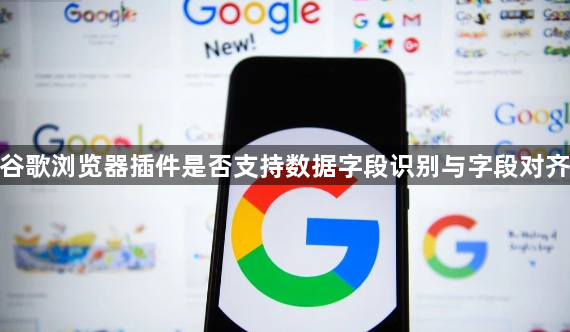 谷歌浏览器插件是否支持数据字段识别与字段对齐1