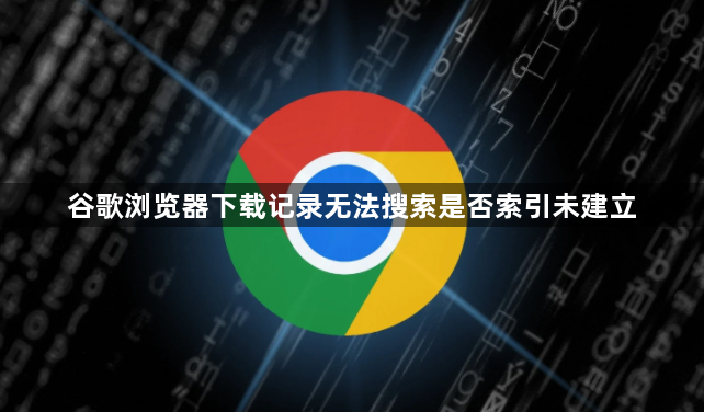 谷歌浏览器下载记录无法搜索是否索引未建立1