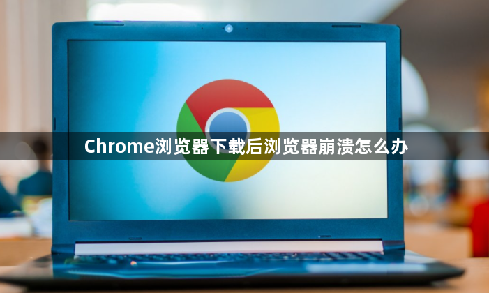 Chrome浏览器下载后浏览器崩溃怎么办1