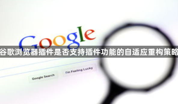 谷歌浏览器插件是否支持插件功能的自适应重构策略1