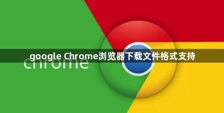 google Chrome浏览器下载文件格式支持1