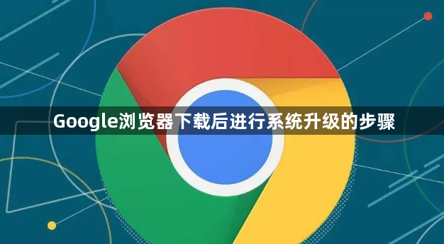 Google浏览器下载后进行系统升级的步骤1