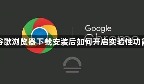 谷歌浏览器下载安装后如何开启实验性功能1