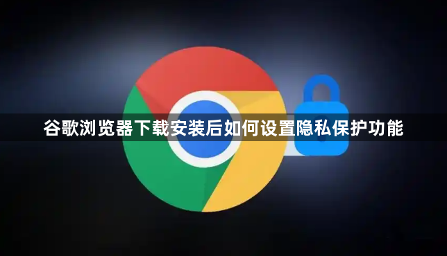 谷歌浏览器下载安装后如何设置隐私保护功能1