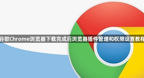 谷歌Chrome浏览器下载完成后浏览器插件管理和权限设置教程1
