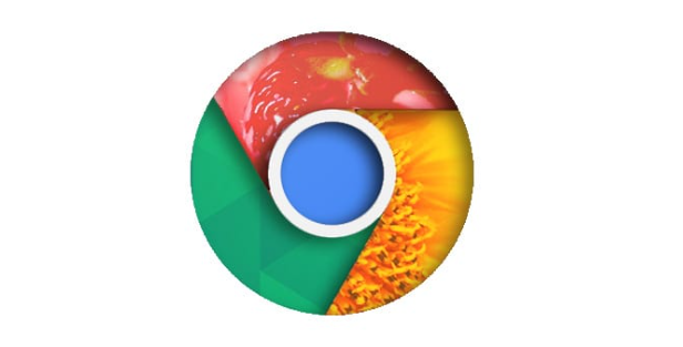 Chrome浏览器下载安装包网络环境适配指南