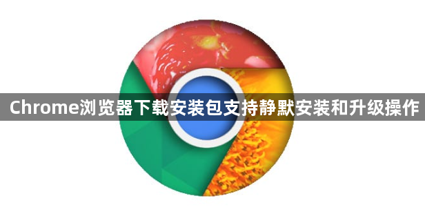 Chrome浏览器下载安装包支持静默安装和升级操作1