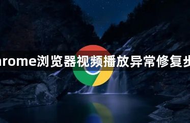 Chrome浏览器视频播放异常修复步骤1