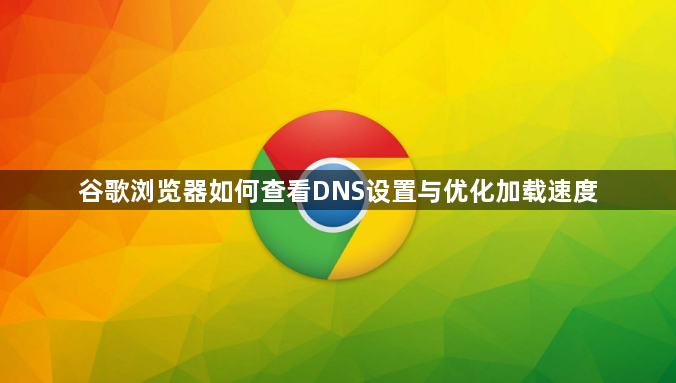 谷歌浏览器如何查看DNS设置与优化加载速度1