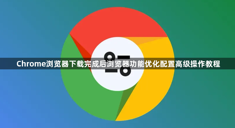 Chrome浏览器下载完成后浏览器功能优化配置高级操作教程1