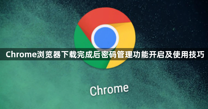 Chrome浏览器下载完成后密码管理功能开启及使用技巧1