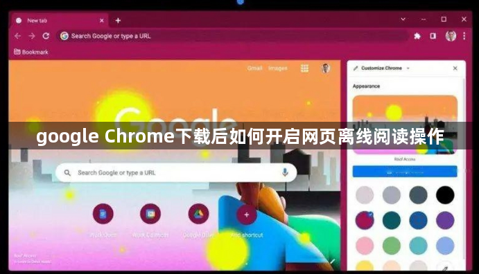 google Chrome下载后如何开启网页离线阅读操作1