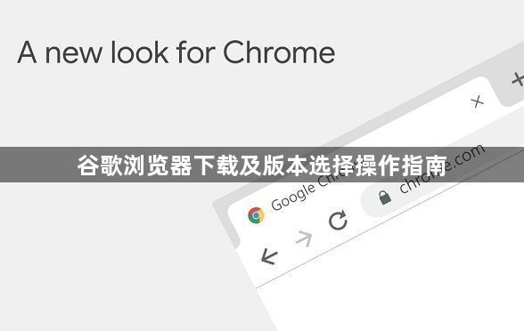 谷歌浏览器下载及版本选择操作指南1
