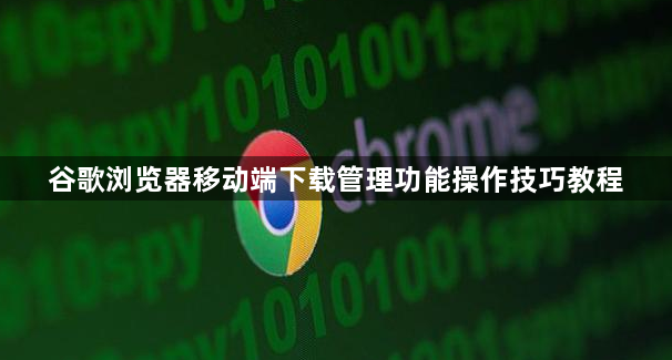 谷歌浏览器移动端下载管理功能操作技巧教程1