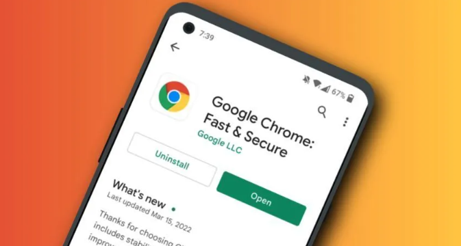 google Chrome浏览器极速版快速安装及操作流程教程