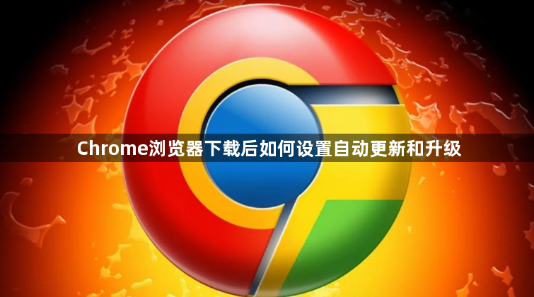 Chrome浏览器下载后如何设置自动更新和升级1