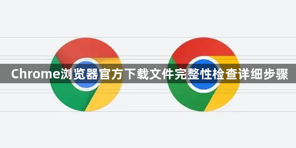 Chrome浏览器官方下载文件完整性检查详细步骤1