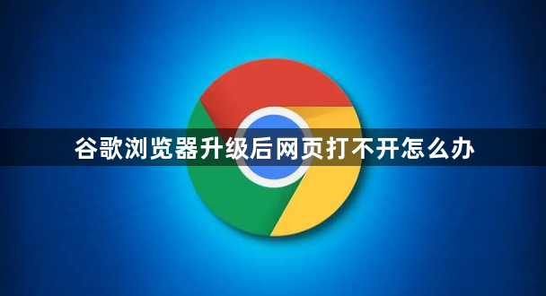 谷歌浏览器升级后网页打不开怎么办1