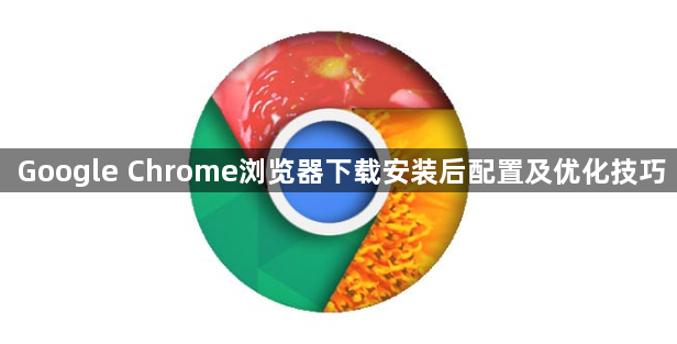 Google Chrome浏览器下载安装后配置及优化技巧1