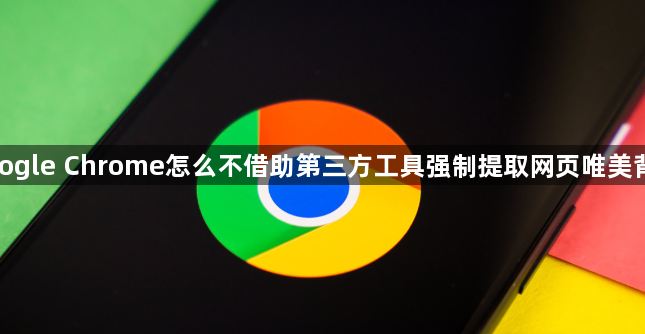 google Chrome怎么不借助第三方工具强制提取网页唯美背景1