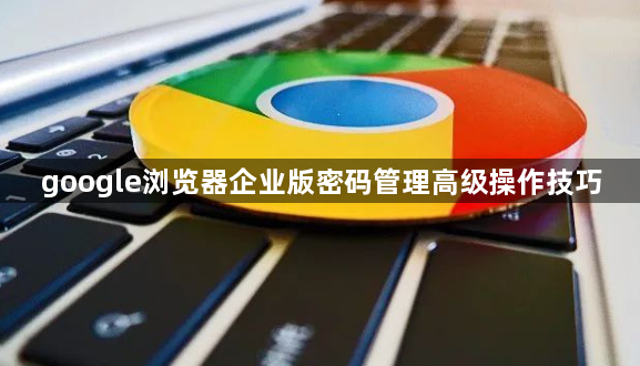 google浏览器企业版密码管理高级操作技巧1