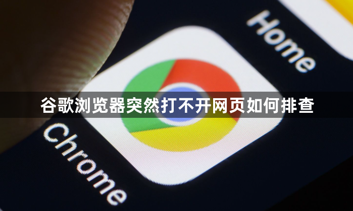 谷歌浏览器突然打不开网页如何排查1