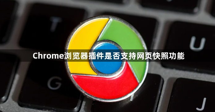 Chrome浏览器插件是否支持网页快照功能1